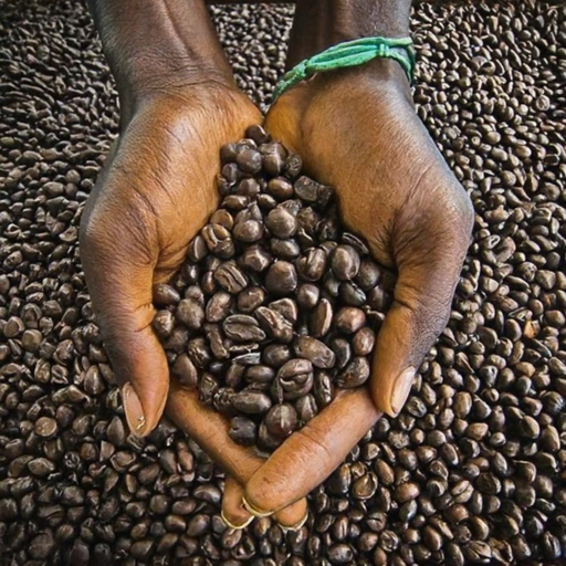 PAPUA NEW GUINEA coffee, coffee bean PAPUA NEW GUINEA, PAPUA NEW GUINEA coffee beans, coffee PAPUA NEW GUINEA, organic PAPUA NEW GUINEA coffee, PAPUA NEW GUINEA coffee notes, PAPUA NEW GUINEA coffee profile
